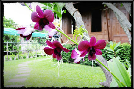 gallery01