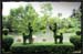 gallery09